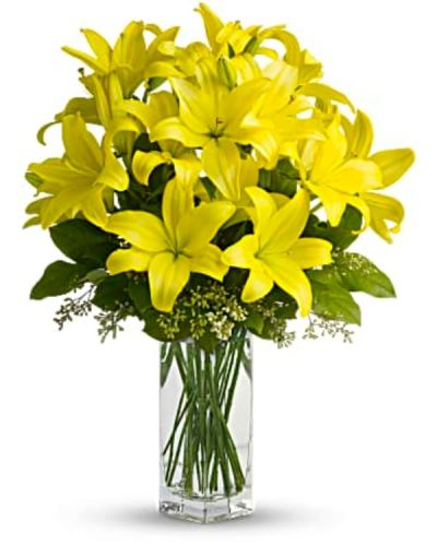 <div id="mark-3" class="m-pdp-tabs-marketing-description">When it comes to spring flowers, the lily reigns supreme. It's easy to see why in this gorgeous bouquet of bright yellow blooms.</div>
<div id="desc-3">
<ul>
 	<li>A fabulous bouquet of yellow asiatic lilies, salal and seeded eucalyptus are delivered in a divine bunch vase.</li>
</ul>
</div>
