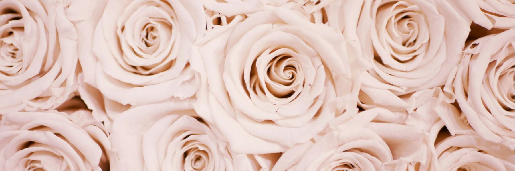Show them your love with flowers
