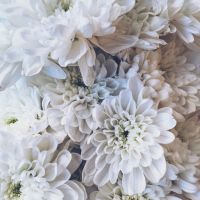 Send your sympathy and condolences with flowers