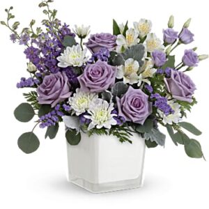 Lavender Blooms