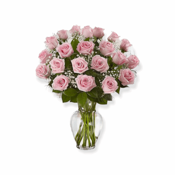 Pink Roses