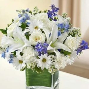 Healing Hope-Blue & White